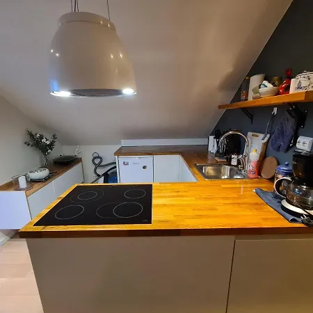 Glass Roof Private Loft In Апартаменты Тромсё
